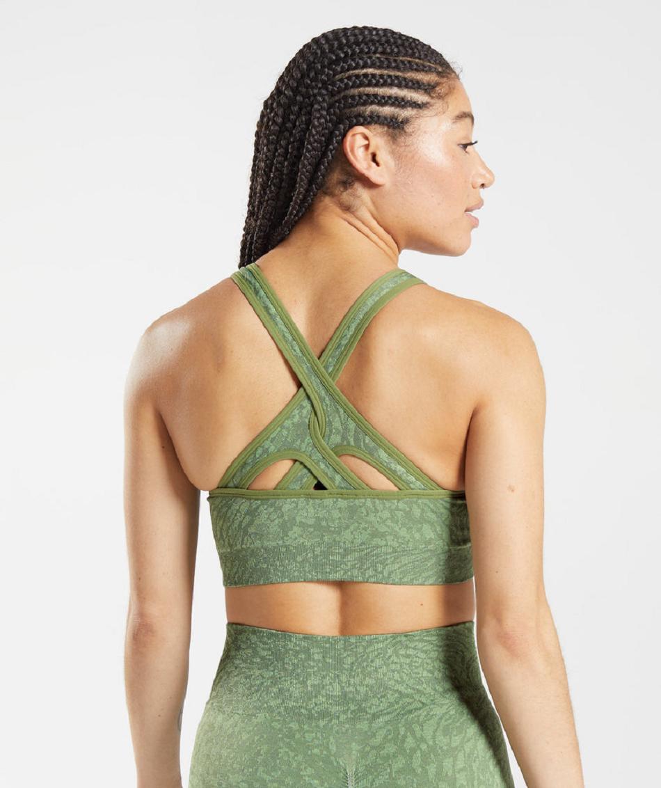 Sujetadores Deportivos Gymshark Adapt Animal Seamless Mujer Verde | CO 2054BEX